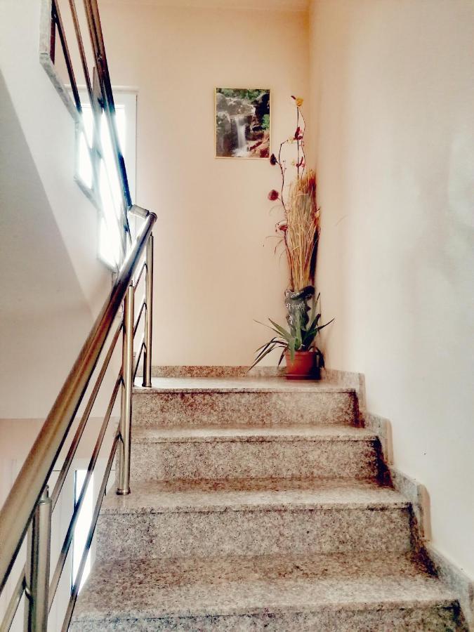 Apartment Daiv Szapareva Banja Kültér fotó